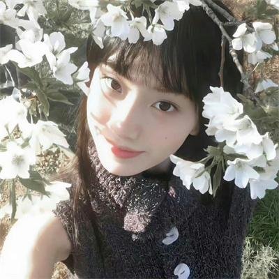 灵异侦缉档案